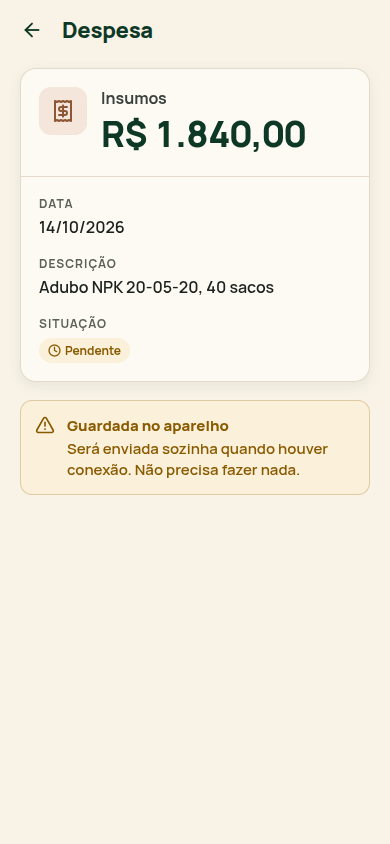 Despesa guardada no aparelho, esperando conexão